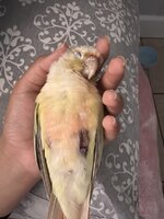 IMG_2428.jpeg