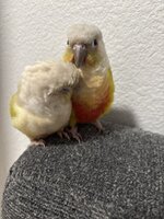 IMG_4199.jpeg