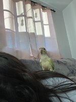 IMG_4201.jpeg