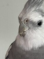 IMG_4730.jpeg