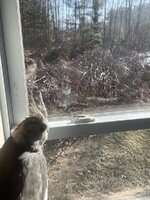 IMG_4685.jpeg