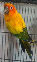 IMG_2817.jpeg