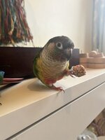 IMG_3216.jpeg