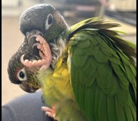 IMG_3218.jpeg