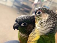 IMG_3219.jpeg