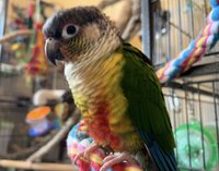 IMG_3220.jpeg