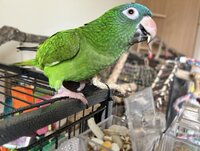 IMG_3221.jpeg
