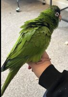 IMG_3223.jpeg
