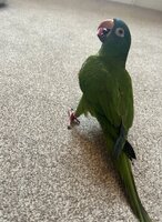 IMG_3225.jpeg