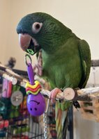 IMG_3227.jpeg
