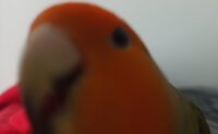 nyoom.jpg nyoom.jpg