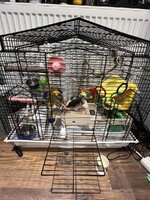 IMG_9703.jpeg