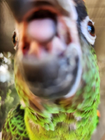 1744087851899.png