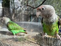 IMG_2160.jpg