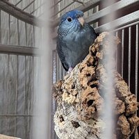 IMG_20231109_095007_808.jpg