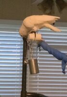 VideoCapture_20210615-115343.jpg
