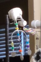 20220204_084559.jpg