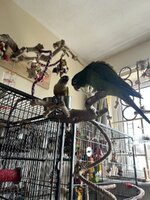 IMG_3508.jpeg