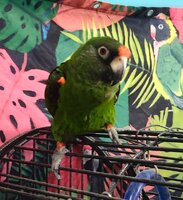 IMG_20250420_132535699_HDR (1).jpg
