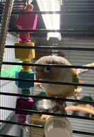 IMG_8250.jpeg