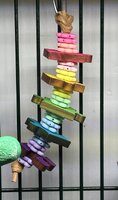 IMG_8252.jpeg
