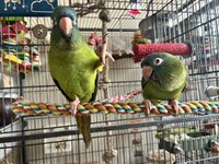 IMG_3856.jpeg