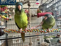 IMG_3857.jpeg