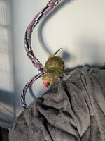 PXL_20250501_172849598.jpg