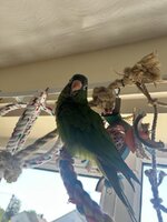 IMG_3884.jpeg