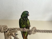 IMG_3881.jpeg