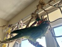 IMG_3880.jpeg