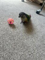 IMG_3875.jpeg