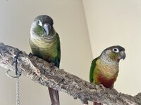 IMG_3878.jpeg