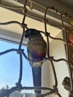 IMG_3882.jpeg