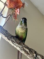 IMG_3883.jpeg