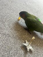 IMG_3873.jpeg