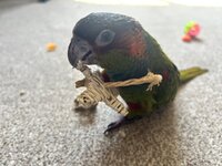 IMG_3876.jpeg