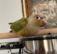 IMG_8297.jpeg