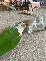 IMG_3947.jpeg