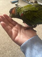 IMG_3950.jpeg