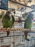 IMG_3940.jpeg
