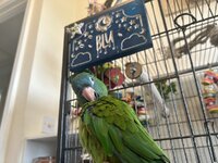 IMG_3946.jpeg
