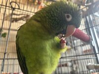IMG_3944.jpeg