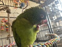 IMG_3943.jpeg