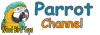 logo.png
