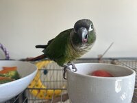 IMG_3999.jpeg