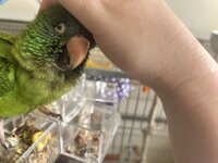 IMG_3989.jpeg
