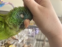 IMG_3990.jpeg