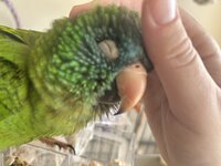 IMG_3991.jpeg