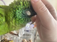 IMG_3992.jpeg